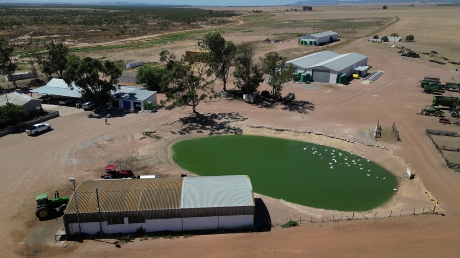 5 Bedroom Property for Sale in Darling Western Cape